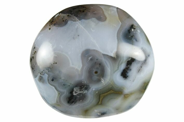 Polished Ocean Jasper Stone - New Deposit #248139